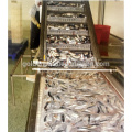 Empaquetadora de sardinas semiautomática